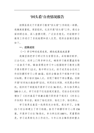 乡镇学习教育“回头看”自查情况总结报告