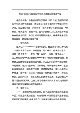 市局2025年度民主生活会查摆问题整改方案