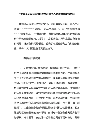 2025年度民主生活会个人对照检查发言材料