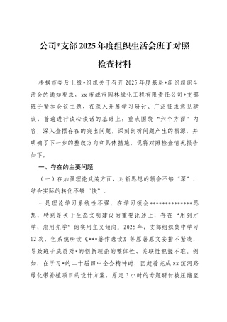 公司支部2025年度组织生活会班子对照检查材料(六个对照)