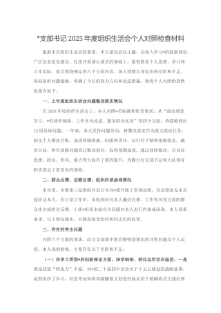支部书记2025年度组织生活会个人对照检查材料