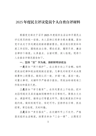 2025年度民主评议党员个人自查自评材料