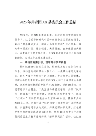 2025年共青团XX县委员会工作总结