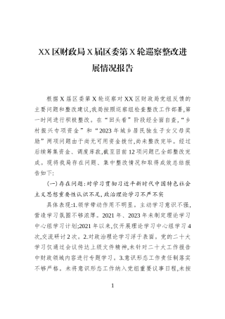 XX区财政局X届区委第X轮巡察整改进展情况报告