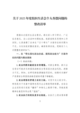 关于2025年度组织生活会个人查摆问题的整改清单