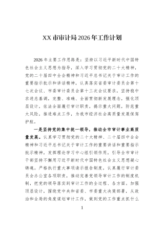 XX市审计局2026年工作计划