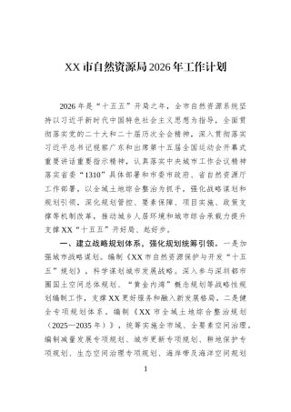 XX市自然资源局2026年工作计划