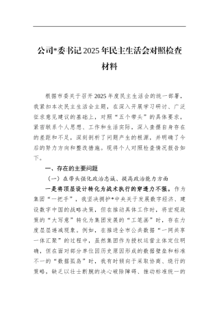 公司书记2025年民主生活会对照检查材料