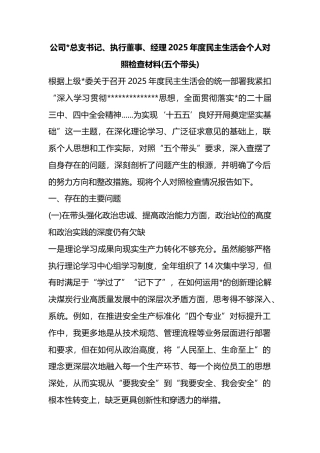 公司书记、执行董事、经理2025年度民主生活会个人对照检查材料(五个带头)