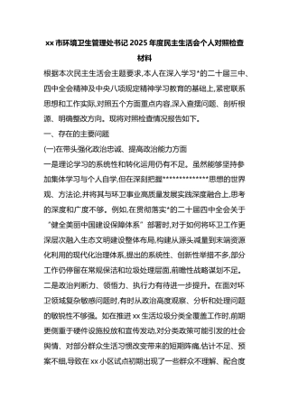 市环境卫生管理处书记2025年度民主生活会个人对照检查材料