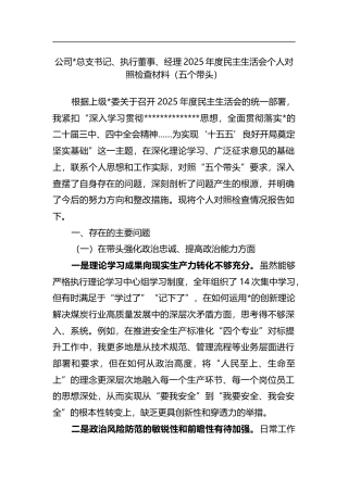 公司总支书记、执行董事、经理2025年度民主生活会个人对照检查材料（五个带头）