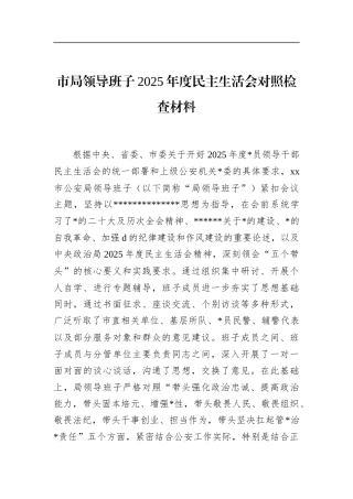 市局领导班子2025年度民主生活会对照检查材料