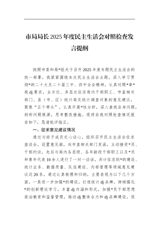 市局局长2025年度民主生活会对照检查发言提纲