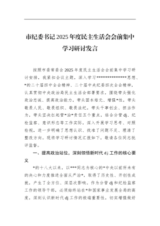 市纪委书记2025年度民主生活会会前集中学习研讨发言