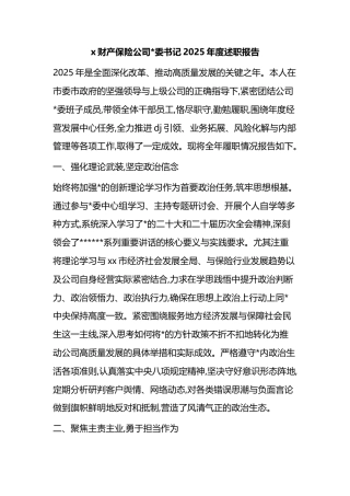 财产保险公司书记2025年度述职报告