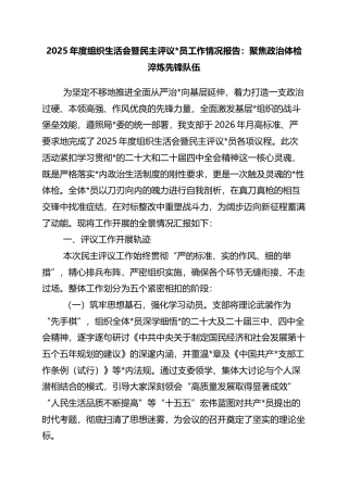 2025年度组织生活会暨民主评议党员工作情况报告：聚焦政治体检+淬炼先锋队伍