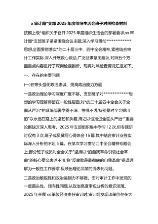 审计局支部2025年度组织生活会班子对照检查材料