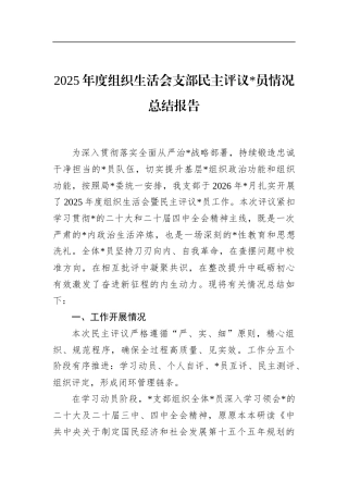 2025年度组织生活会支部民主评议党员情况总结报告