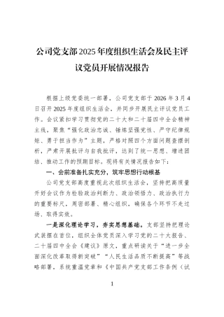 公司党支部2025年度组织生活会及民主评议党员开展情况报告