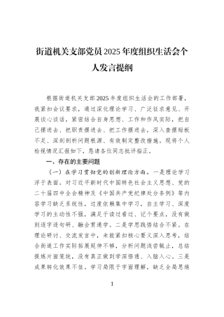 街道机关支部党员2025年度组织生活会个人发言提纲