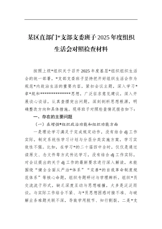 区直部门支部支委班子2025年度组织生活会对照检查材料