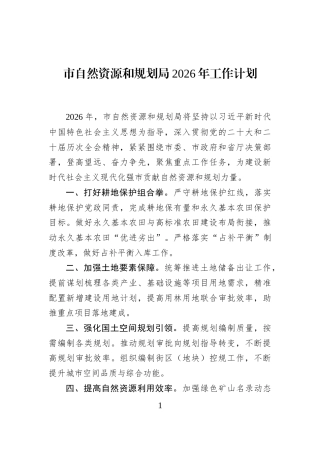 市自然资源和规划局2026年工作计划