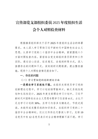 宣传部党支部组织委员2025年度组织生活会个人对照检查材料