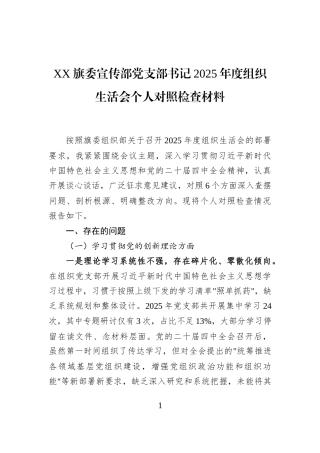 XX旗委宣传部党支部书记2025年度组织生活会个人对照检查材料