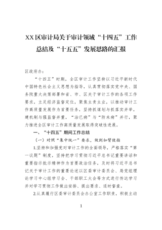 XX区审计局关于审计领域“十四五”工作总结及“十五五”发展思路的汇报