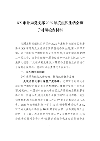 XX审计局党支部2025年度组织生活会班子对照检查材料