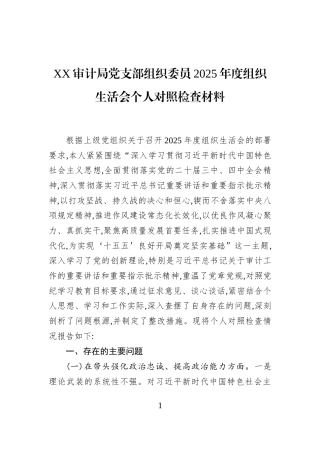 XX审计局党支部组织委员2025年度组织生活会个人对照检查材料