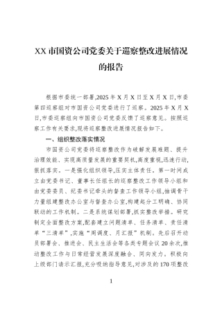 XX市国资公司党委关于巡察整改进展情况的报告