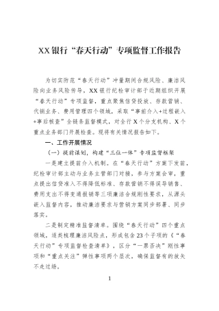 XX银行“春天行动”专项监督工作报告