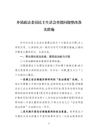 乡镇政法委员民主生活会查摆问题整改落实措施