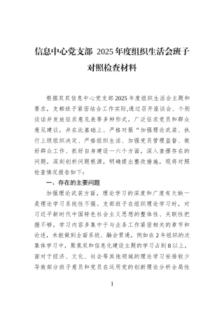信息中心党支部+2025年度组织生活会班子对照检查材料