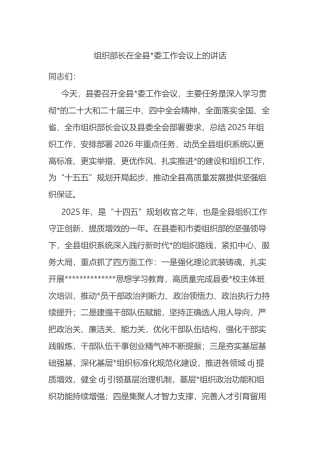 组织部长在全县党委工作会议上的讲话