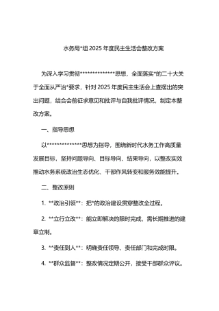 水务局2025年度民主生活会整改方案