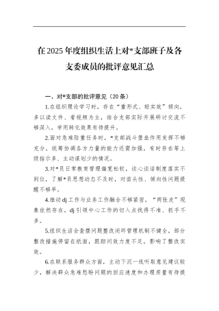 在2025年度组织生活上对支部班子及各支委成员的批评意见汇总