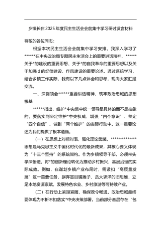 乡镇长在2025年度民主生活会会前集中学习研讨发言材料