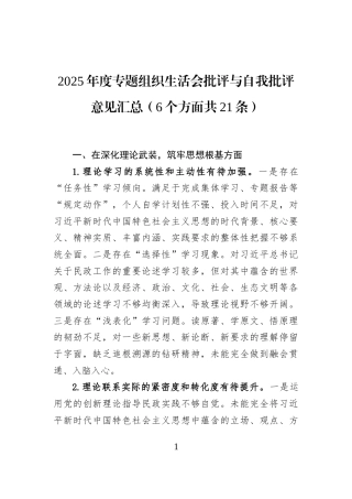 2025年度专题组织生活会批评与自我批评意见汇总（6个方面共21条）