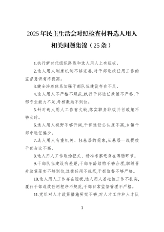 2025年民主生活会对照检查材料选人用人相关问题集锦（25条）