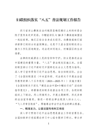 妇联组织落实“八五”普法规划工作报告