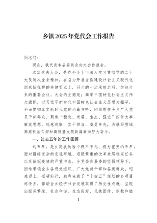 乡镇2025年党代会工作报告