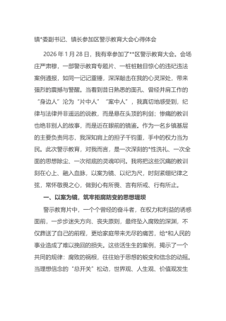 镇长参加区警示教育大会心得体会