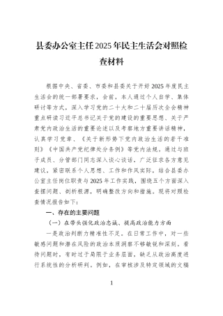 县委办公室主任2025年民主生活会对照检查材料