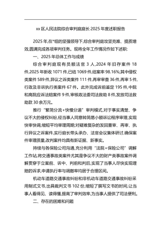 区人民法院综合审判庭庭长2025年度述职报告