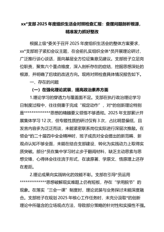 部2025年度组织生活会对照检查汇报：查摆问题剖析根源，精准发力抓好整改
