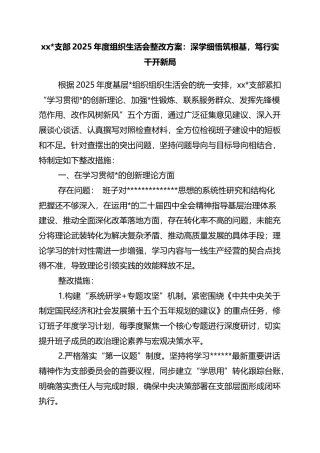 支部2025年度组织生活会整改方案：深学细悟筑根基，笃行实干开新局