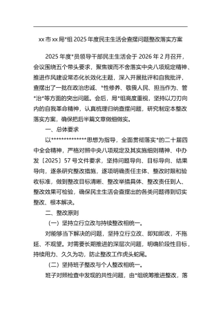 局2025年度民主生活会查摆问题整改落实方案