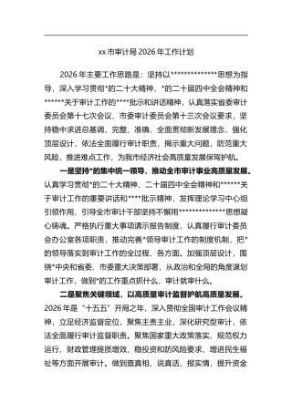 市审计局2026年工作计划